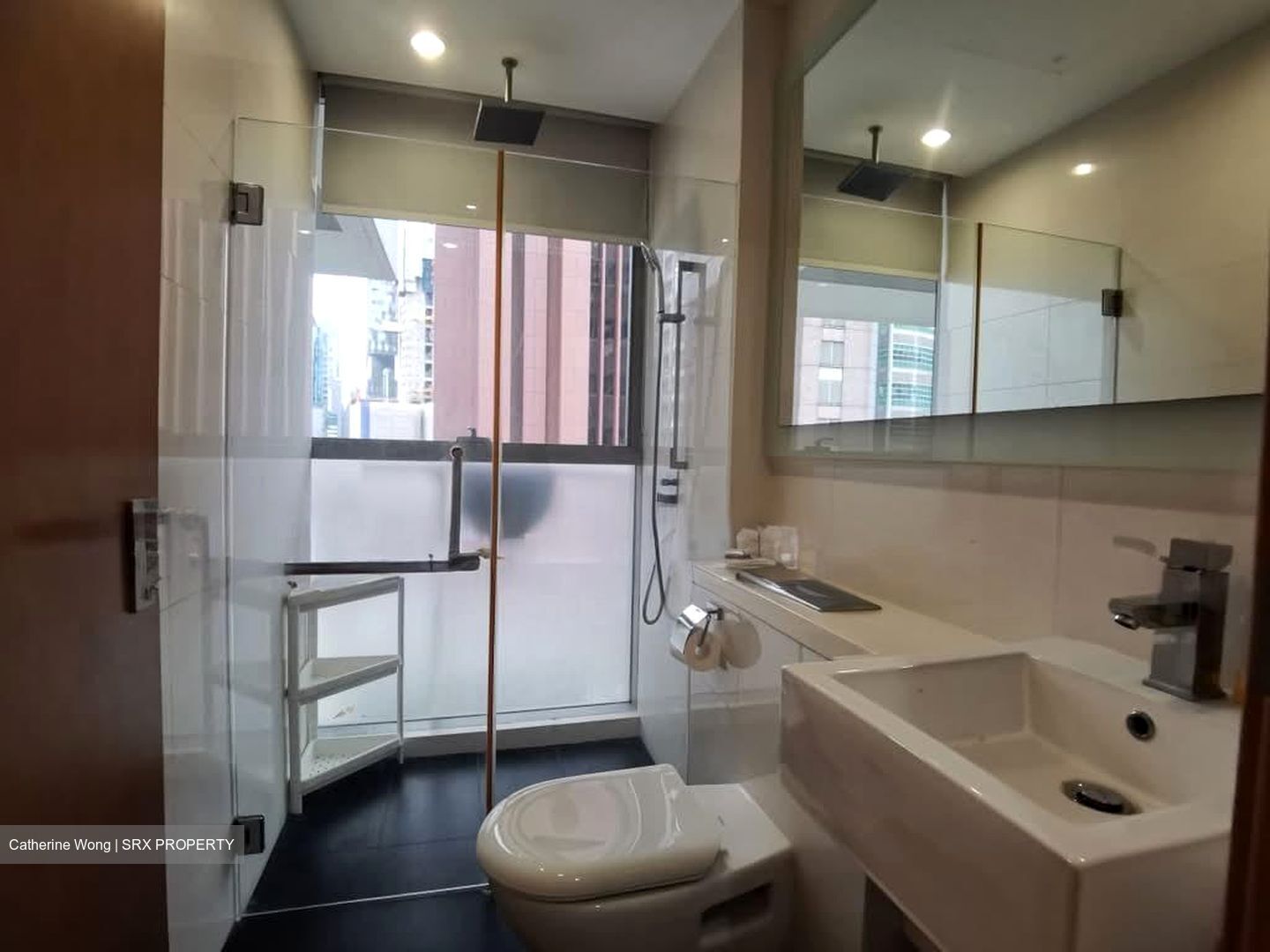 Lumiere (D2), Apartment #575726441